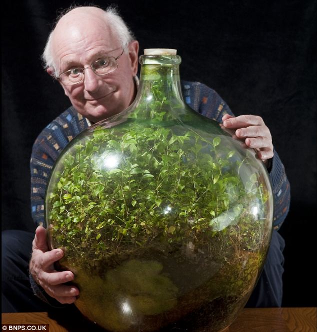 1972 óta nem öntözte meg a növényt ez a 80 éves férfi. Ilyen az önfenntartó ökoszisztéma.
