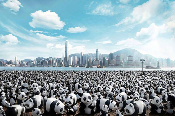 Minden egyes papír panda az 1600 vadonban élő pandából egyet képvisel.