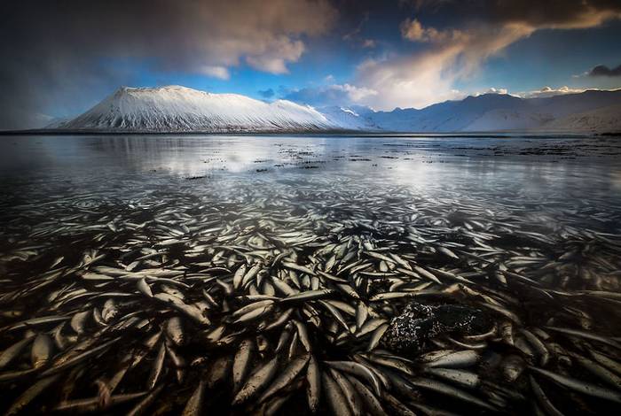 A jégbe fagyott Izland csodálatos tájai képekben