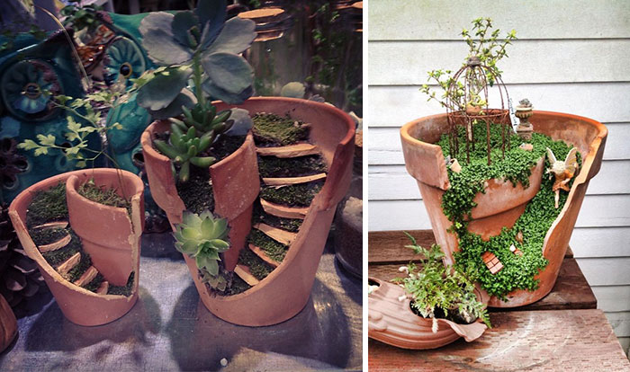 Törött kaspóból készített mini kertek, melyeket te is elkészíthetsz magadnak.
