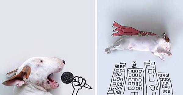Imádott kutyájáról készít mókás rajzokat a brazil illusztrátor
