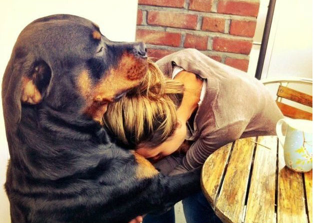 19 ok, amiért hálás lehetsz kutyádnak.
