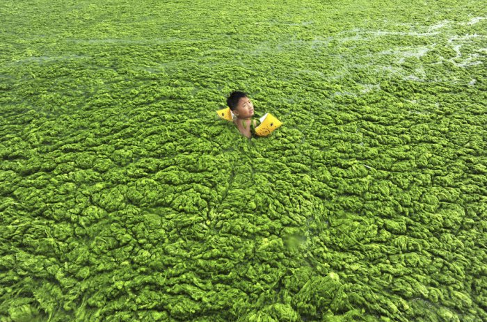 20 sokkoló fotó Kína környezetszennyezéséről