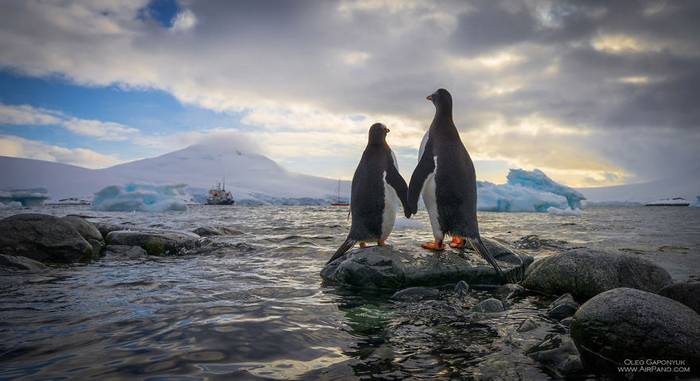 Lenyűgöző képeken a zord és érintetlen Antarktisz