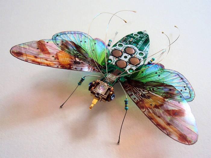 Leselejtezett számítástechnikai alkatrészekből készít gyönyörű szárnyas rovarokat.